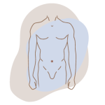 sesiondepilacionlaser zona abdomen