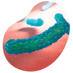 test de aliento helicobacter pylori 1