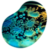 test de aliento sobrecrecimiento bacteriano 1