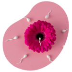 perfilhormonalydefertilidad