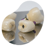 tacdental